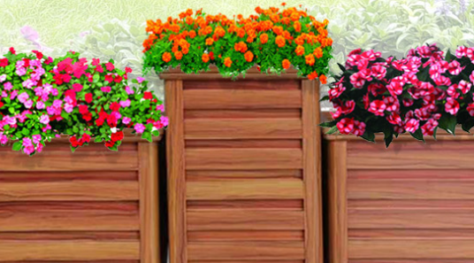 聚之唯与四川志坤美佳合作小程序定制开发